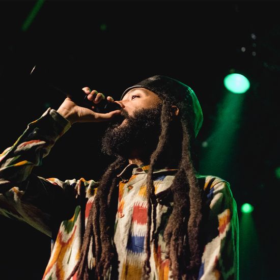 afbeelding van een reggae feest in de melkweg